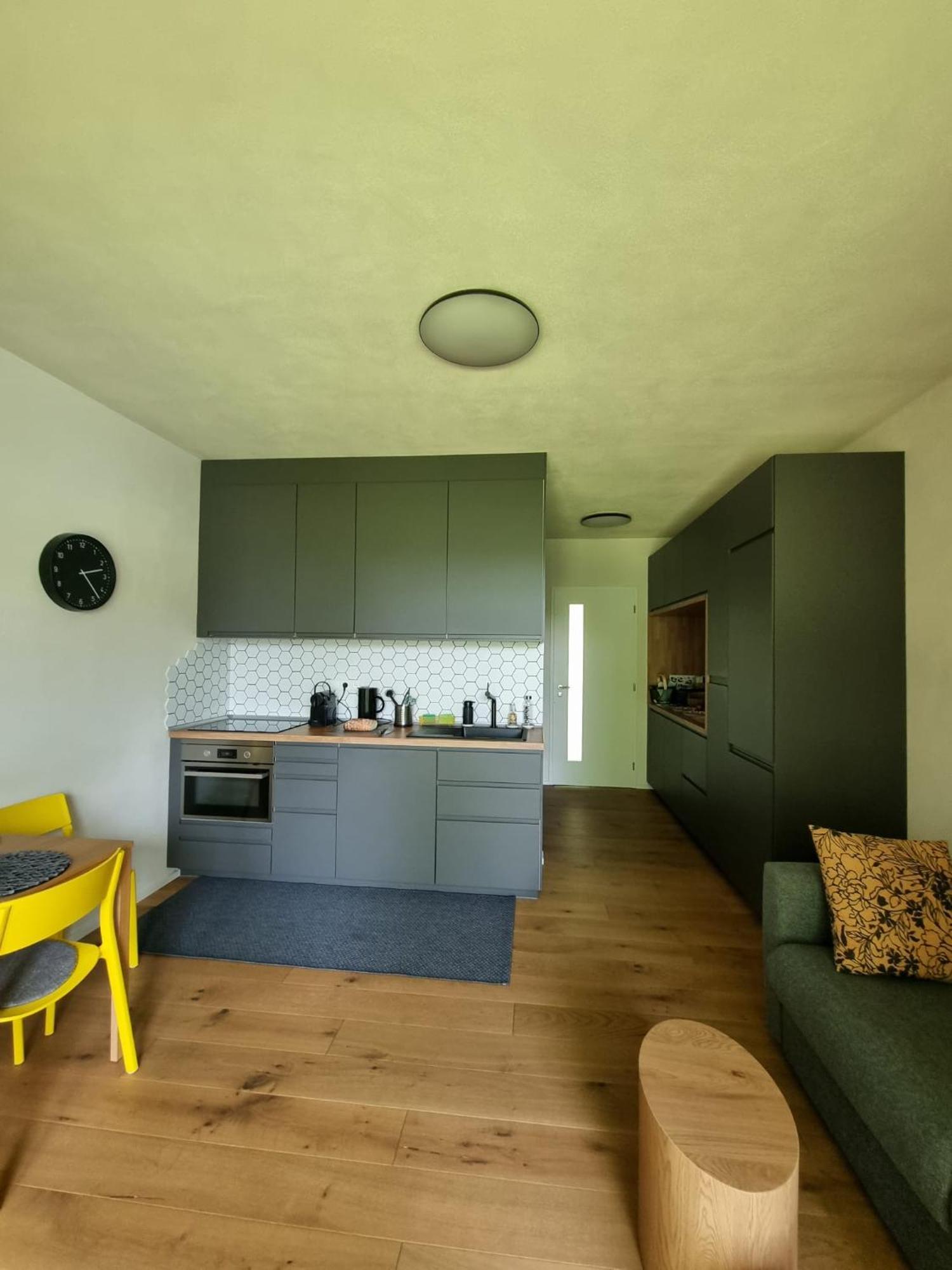Apartman Berg Brcalnik Železná Ruda Eksteriør bilde